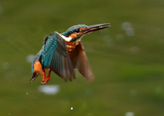 いつもの公園で　８/２１❹