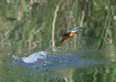 ダイブ　５/１０❶