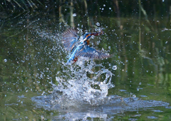 水飛沫　５/１❻