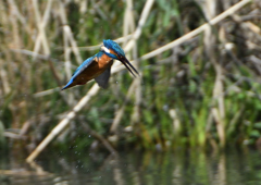 迷った・・・・