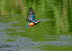 いつもの公園で　９/２６❺