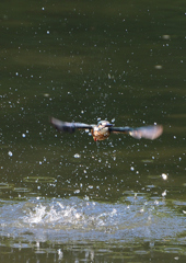 水飛沫　９/６⓮