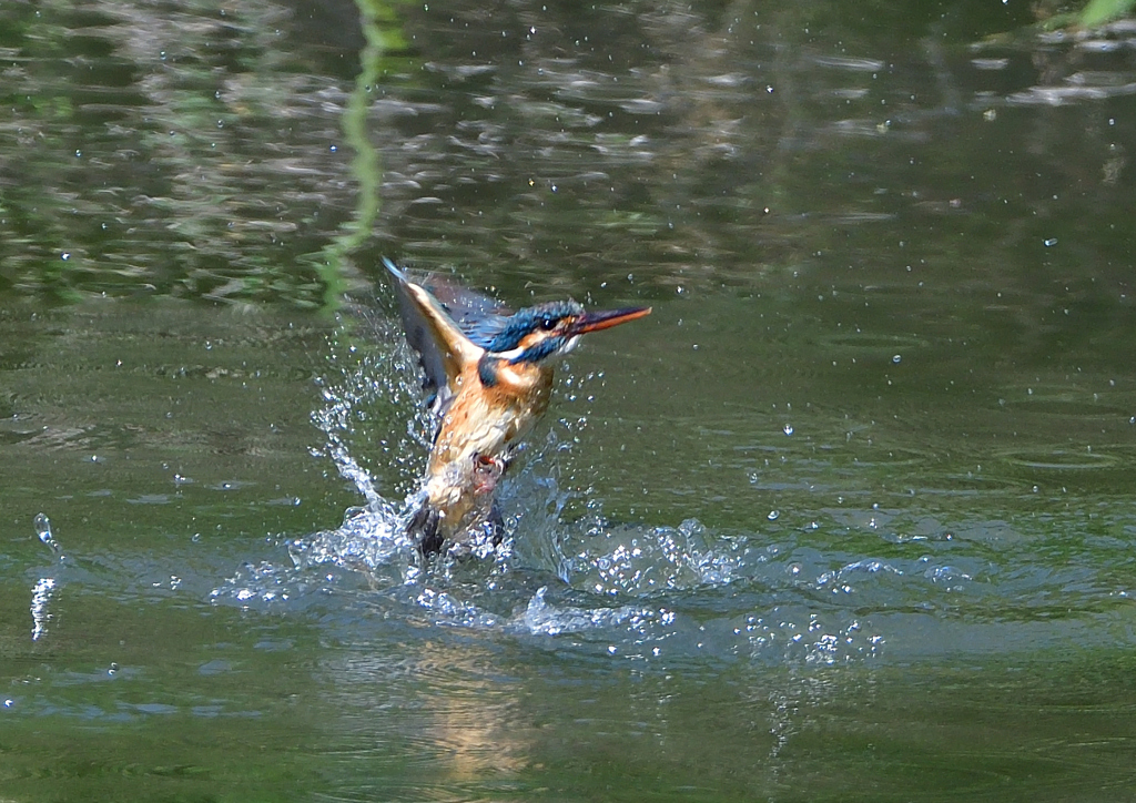 水飛沫　５/１７❹