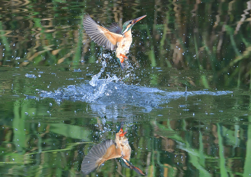 水飛沫　５/１７❶