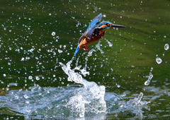 いつもの公園で　１０/２７❻