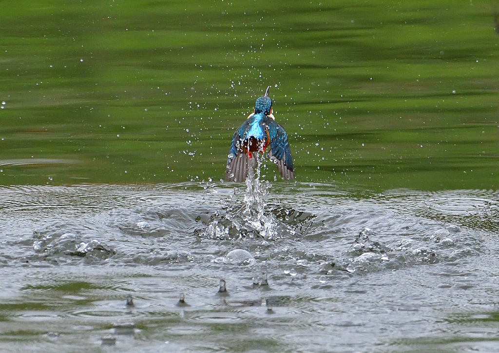 水飛沫　４/１❶