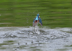 水飛沫　４/１❶