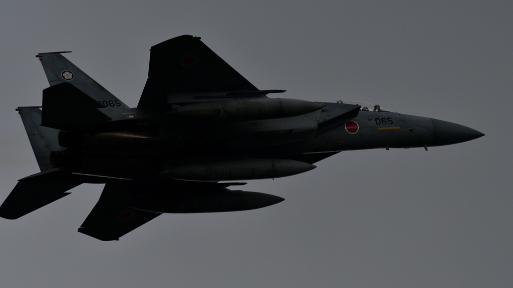 F-15J　６/１０❷