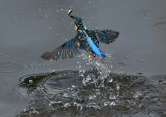 _191102_093636 DSC_8859