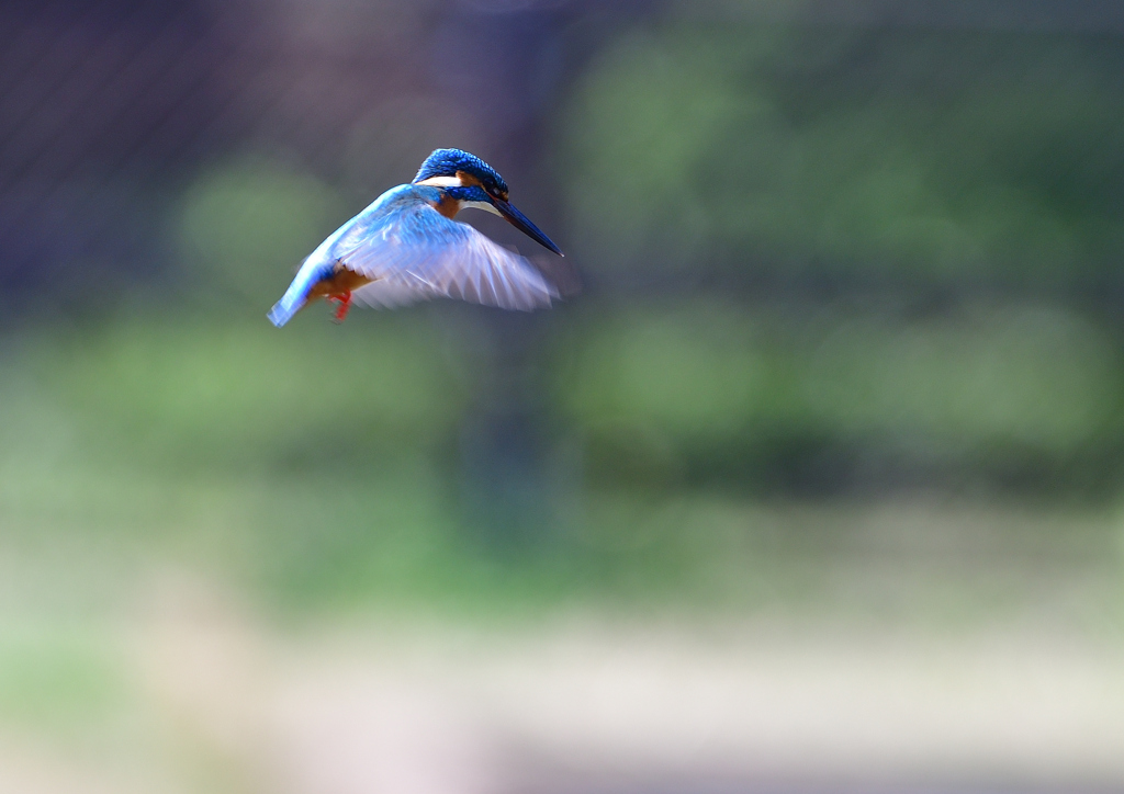 ホバる　３/２５❼