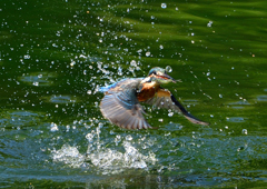 ダイブ　９/２８❸