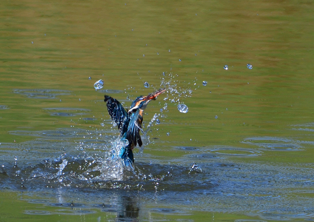 浮上　５/１４❹
