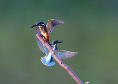 いつもの公園で　８/１６❹