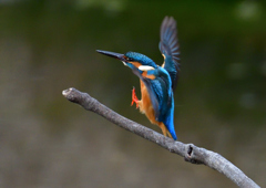 いつもの公園で　１/１７❸