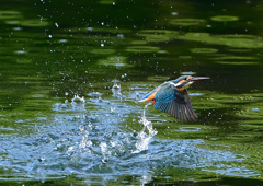 いつもの公園で　８/１４❶