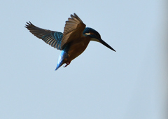 _190305_103708 DSC_6833