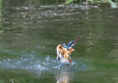 水飛沫　５/１７❼
