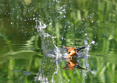 水飛沫　８/１❸