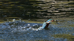 水飛沫　１０/１５❾