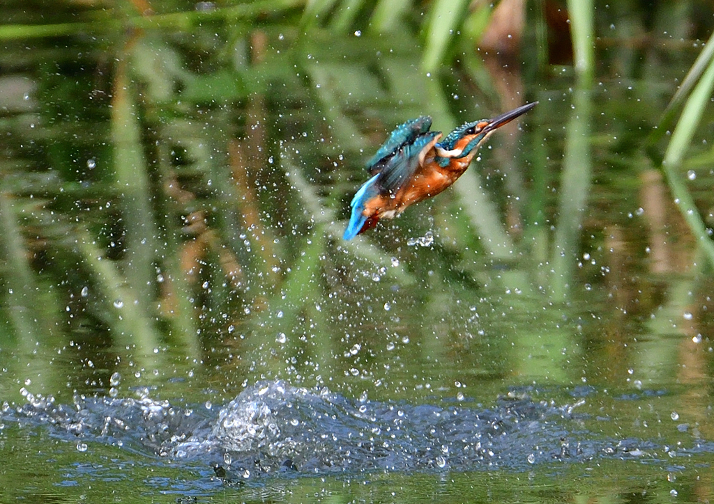 いつもの公園で　９/１２❾