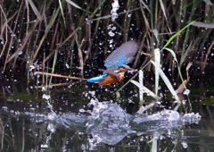 いつもの公園で　９/２１❶