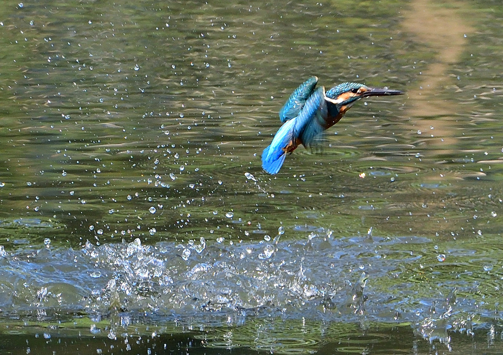 水飛沫　８/１❻