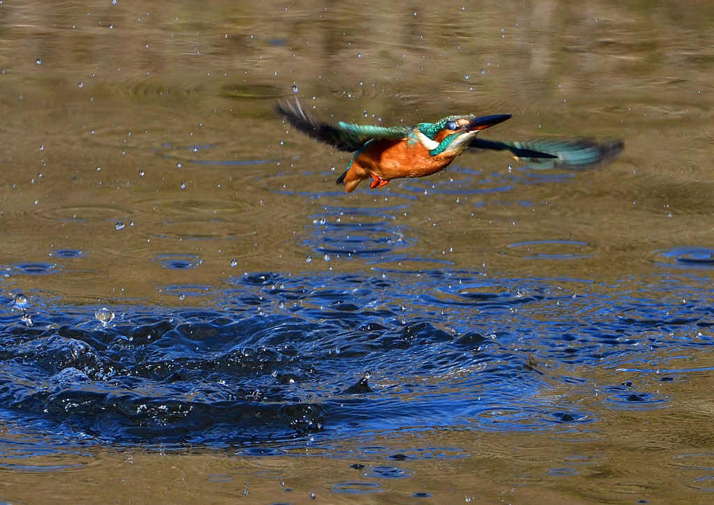 いつもの公園で　１１/１４❸