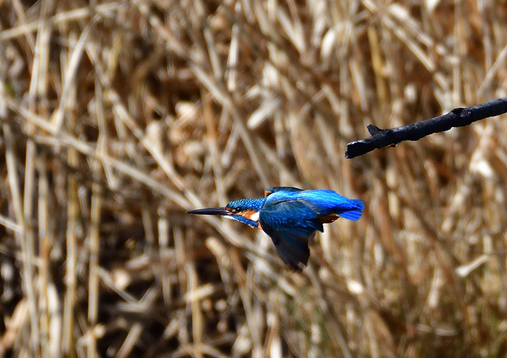 いつもの公園で　１/２５❻