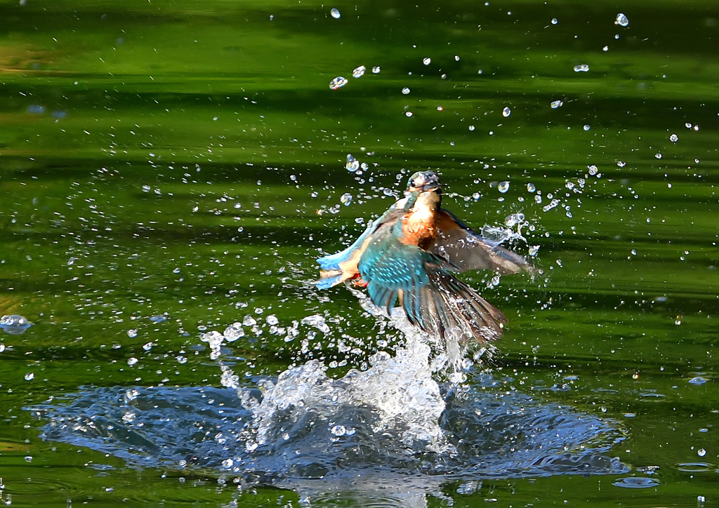 いつもの公園で　８/１４❼