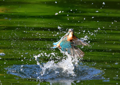 いつもの公園で　８/１４❼