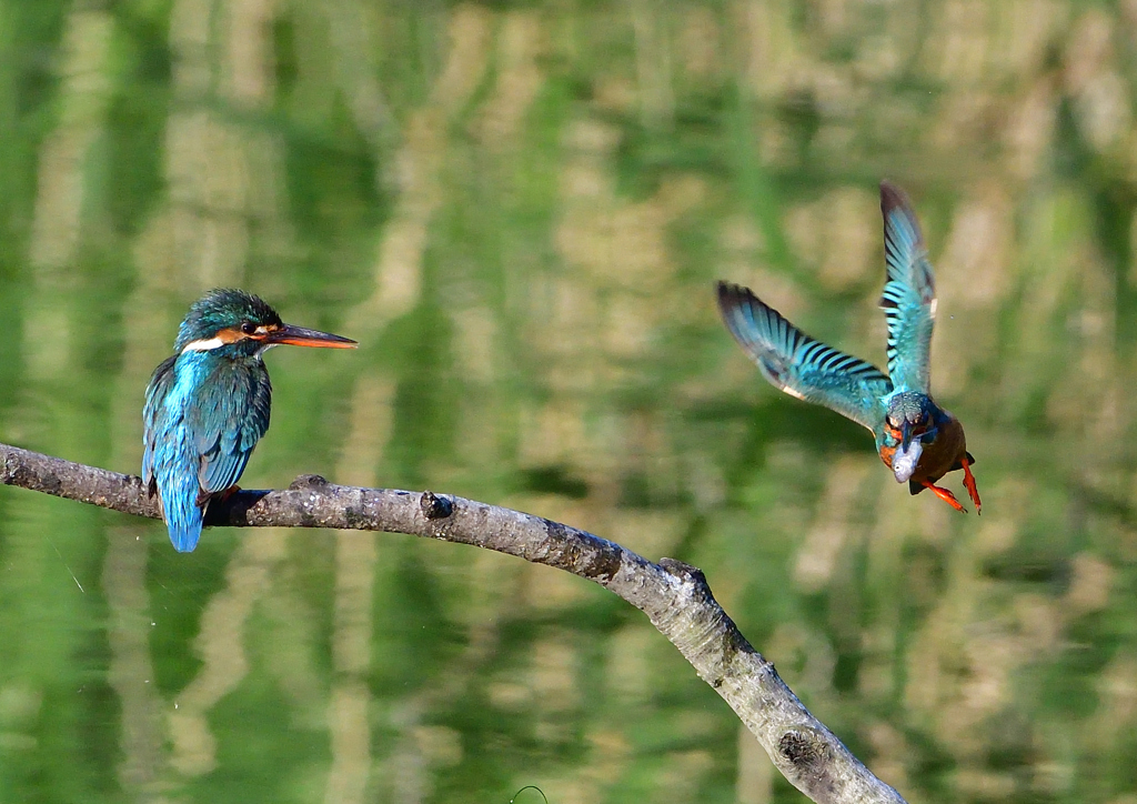 オス＆メス　５/２２❸