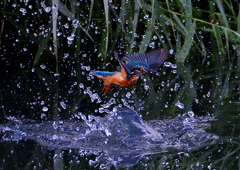 いつもの公園で　９/８❸