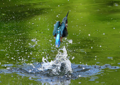 いつもの公園で　８/１４❻