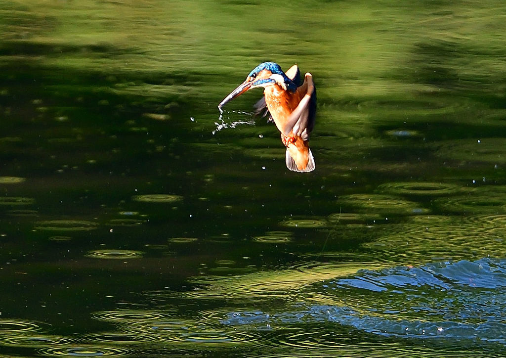いつもの公園で　１０/１１❷