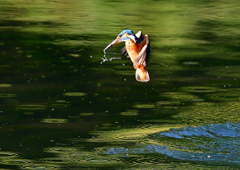 いつもの公園で　１０/１１❷