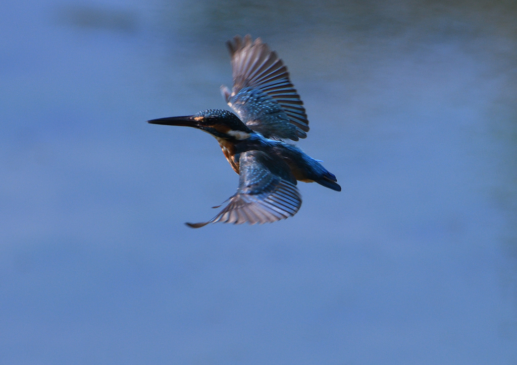 緩急自在　９/３❶