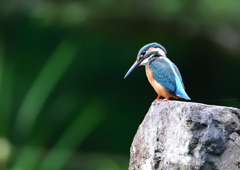 待機中　７/２９