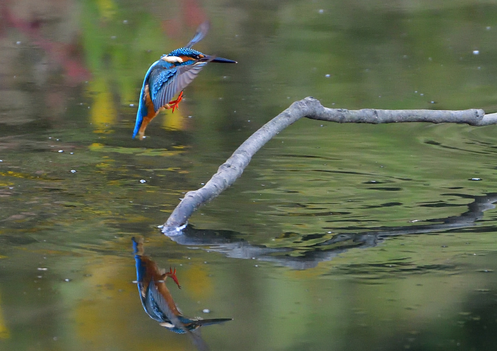 いつもの公園で　１０/２７❶