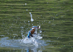 魚を・・・・　４/２７❸