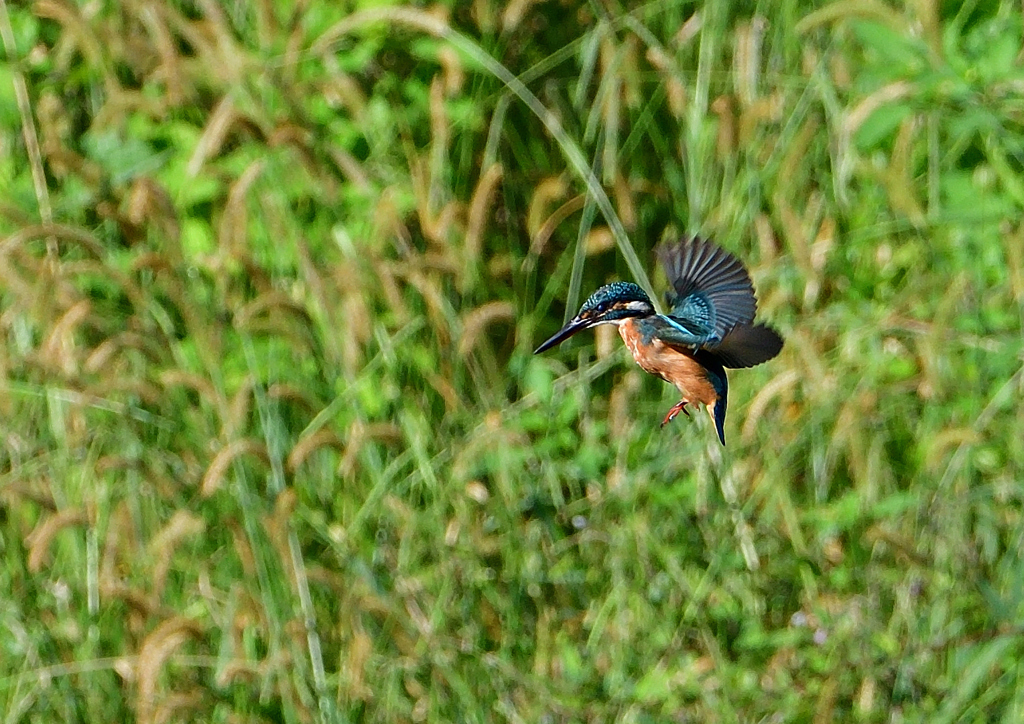 ホバリング　９/２８