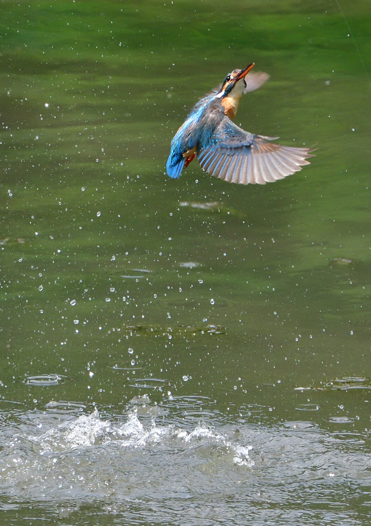 ダイブ　５/２３❹