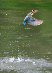 ダイブ　５/２３❹