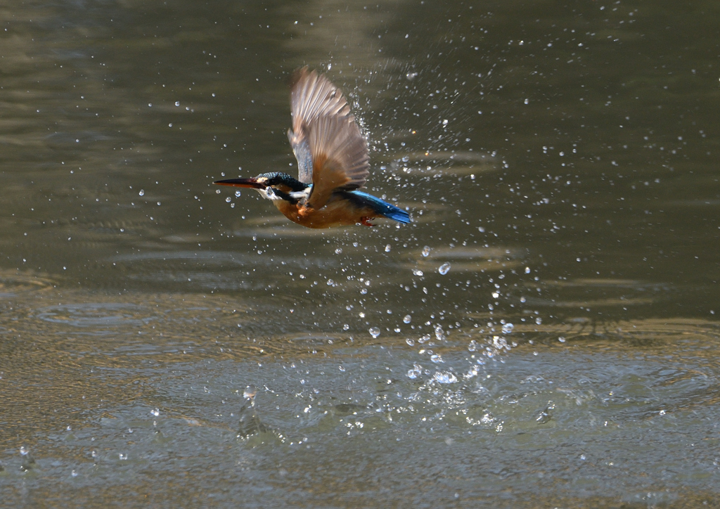 _190305_101908 DSC_6761