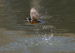 _190305_101908 DSC_6761