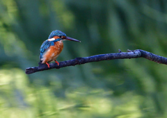 いつもの公園で　９/５❷