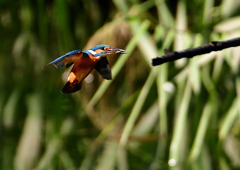 いつもの公園で　１０/１１❽
