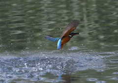 _191102_094640 DSC_8900