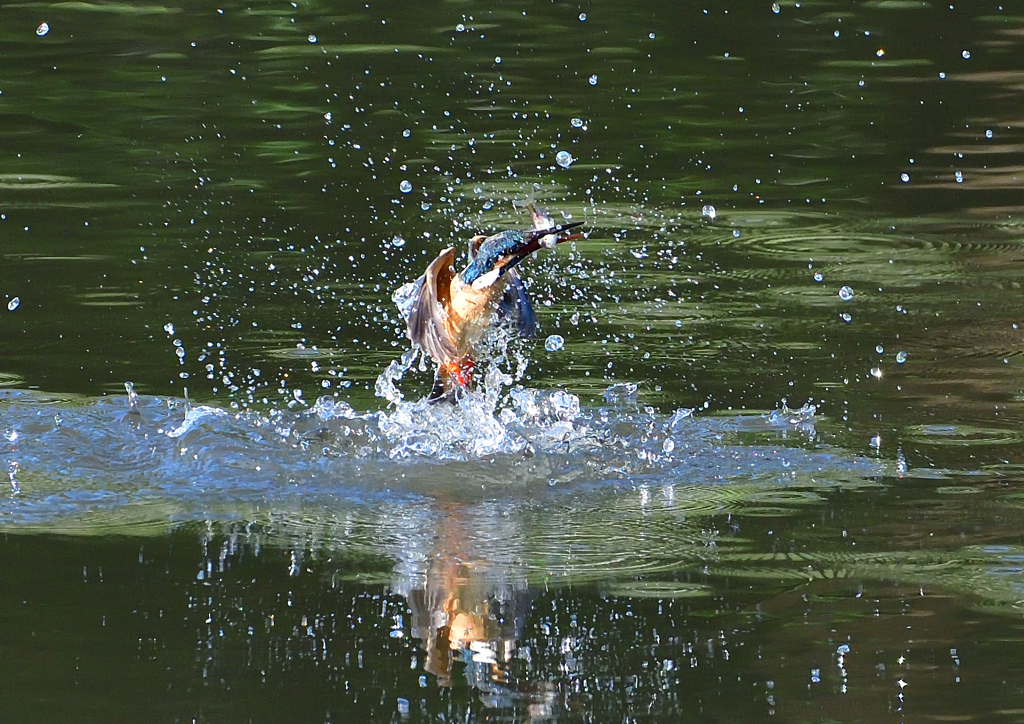 浮上　５/１４❶