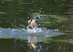 浮上　５/１４❶