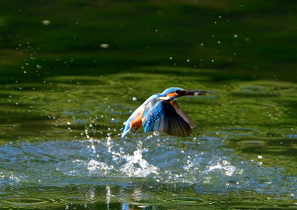 いつもの公園で　１０/１１❻